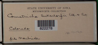 Image Associated With the Occurence
